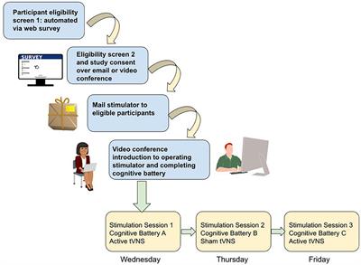 Transcutaneous Vagus Nerve Stimulation (tVNS) applications in cognitive aging: a review and commentary